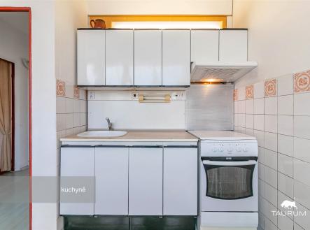 Prodej bytu, 1+1, 47 m²