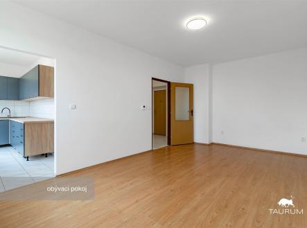 Pronájem bytu, 2+1, 58 m²