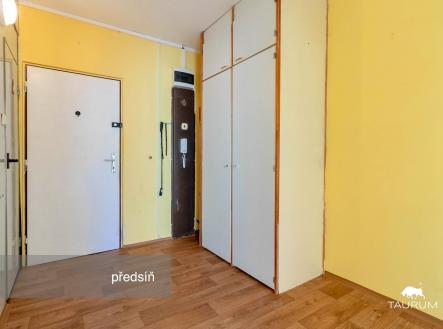 Vstupní předsíň s parketovou podlahou, vestavěné skříně, světlý prostor s moderním vzhledem a dřevěným dekorem stěn.