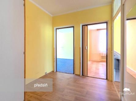 Světlá předsíň s parketovou podlahou a velkým zrcadlem nabízí přístup do ostatních místností. V pozadí je vidět pokoj s kobercem.