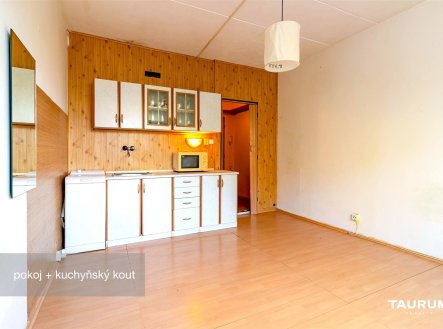 Prodej bytu, 1+kk, 20 m²