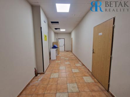 Pronájem obchodní prostor, 500 m²