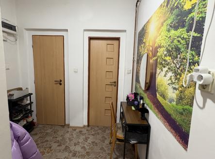 Prodej bytu, 2+1, 46 m²