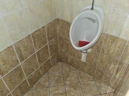 Pronájem obchodní prostor, 57 m²