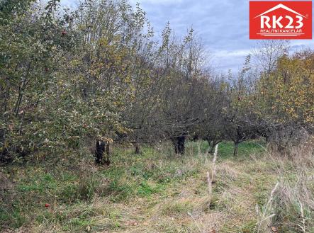 Prodej pozemku pro bydlení, 994 m²