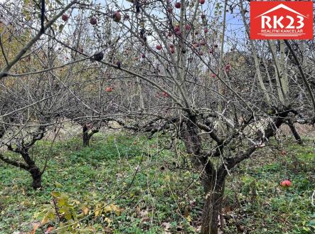 Prodej pozemku pro bydlení, 994 m²