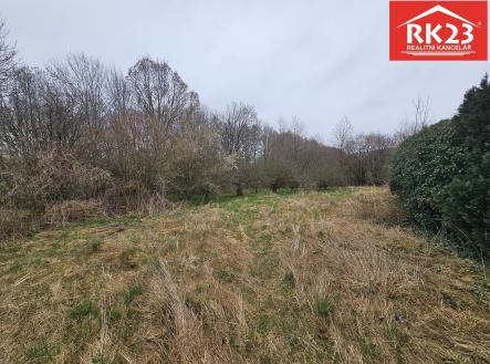 Prodej pozemku pro bydlení, 994 m²