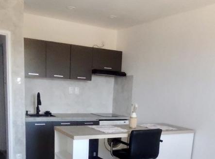 Pronájem bytu, 1+kk, 20 m²