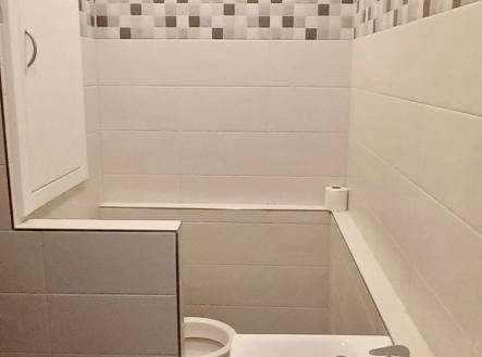 Pronájem bytu, 1+1, 35 m²