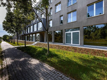 Prodej obchodní prostory, 100 m²