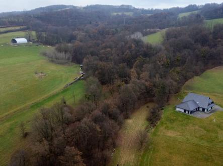 Prodej pozemku, les, 45 840 m²