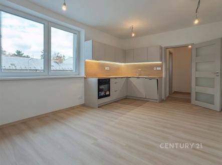 Pronájem bytu, 1+kk, 26 m²