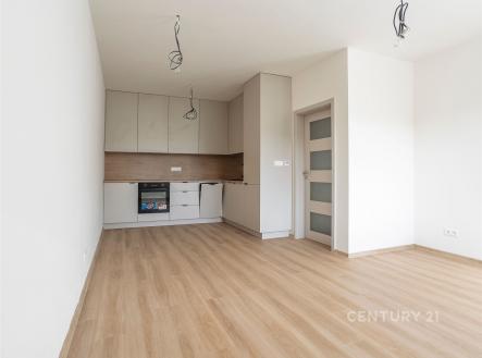 Pronájem bytu, 1+kk, 39 m²