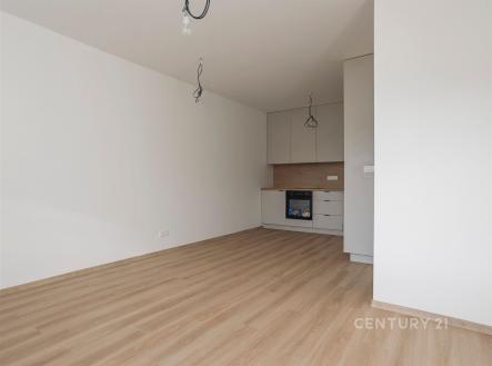 Pronájem bytu, 1+kk, 39 m²