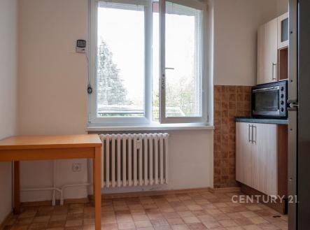 Pronájem bytu, 1+1, 42 m²