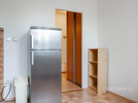 Pronájem bytu, 1+1, 42 m²