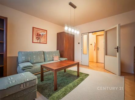 Pronájem bytu, 1+1, 42 m²