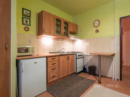 Pronájem bytu, 1+1, 42 m²