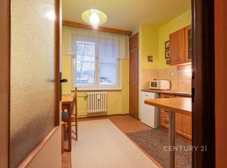 Pronájem bytu, 1+1, 42 m²