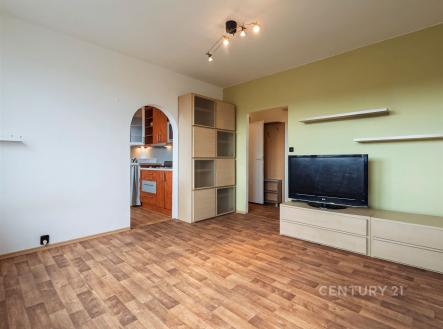 Pronájem bytu, 2+1, 43 m²