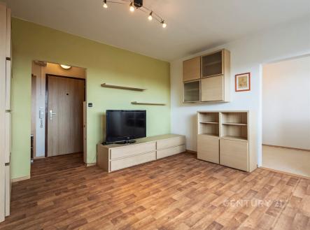 Pronájem bytu, 2+1, 43 m²