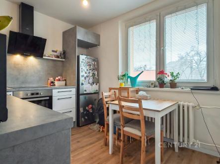 Pronájem bytu, 3+1, 76 m²