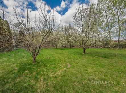 Prodej pozemku pro bydlení, 1 904 m²