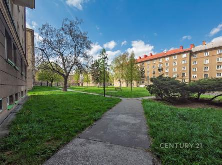 Zahrada s asfaltovým chodníkem obklopená vzrostlými stromy a travnatými plochami, slunečné počasí přispívá k příjemné atmosféře prostoru