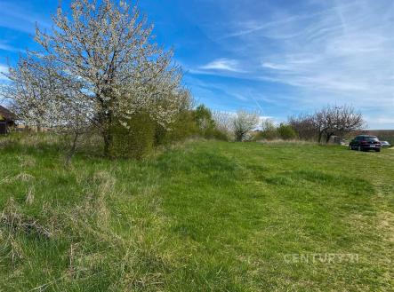 Prodej pozemku pro bydlení, 5 384 m²