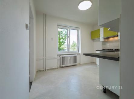 Pronájem bytu, 2+1, 55 m²