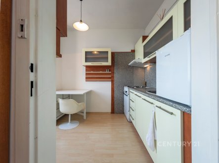 Pronájem bytu, 2+1, 47 m²