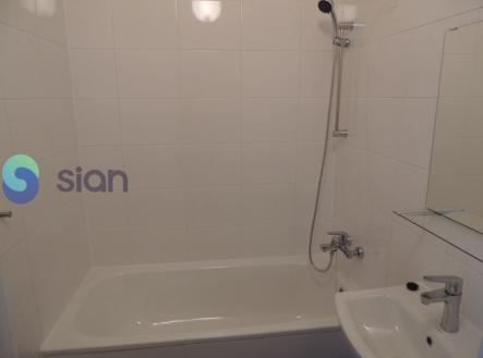 Pronájem bytu, 1+1, 29 m²