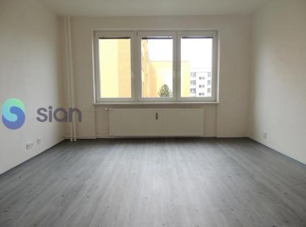 Pronájem bytu, 1+1, 41 m²