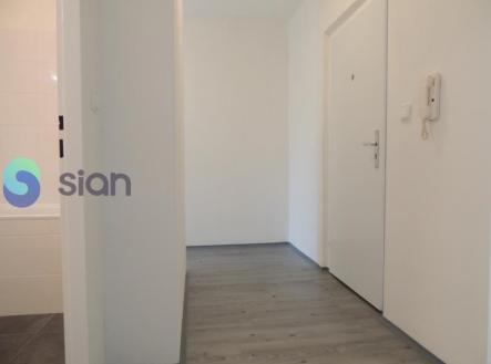 Pronájem bytu, 1+1, 41 m²