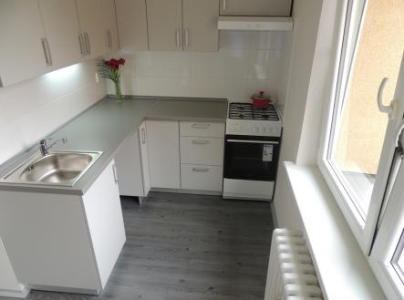 Pronájem bytu, 1+1, 41 m²