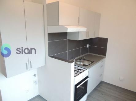 Pronájem bytu, 1+1, 38 m²