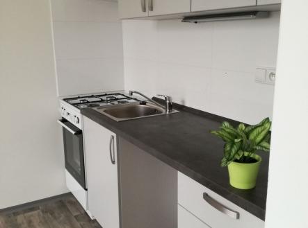 Prodej bytu, 2+1, 45 m²