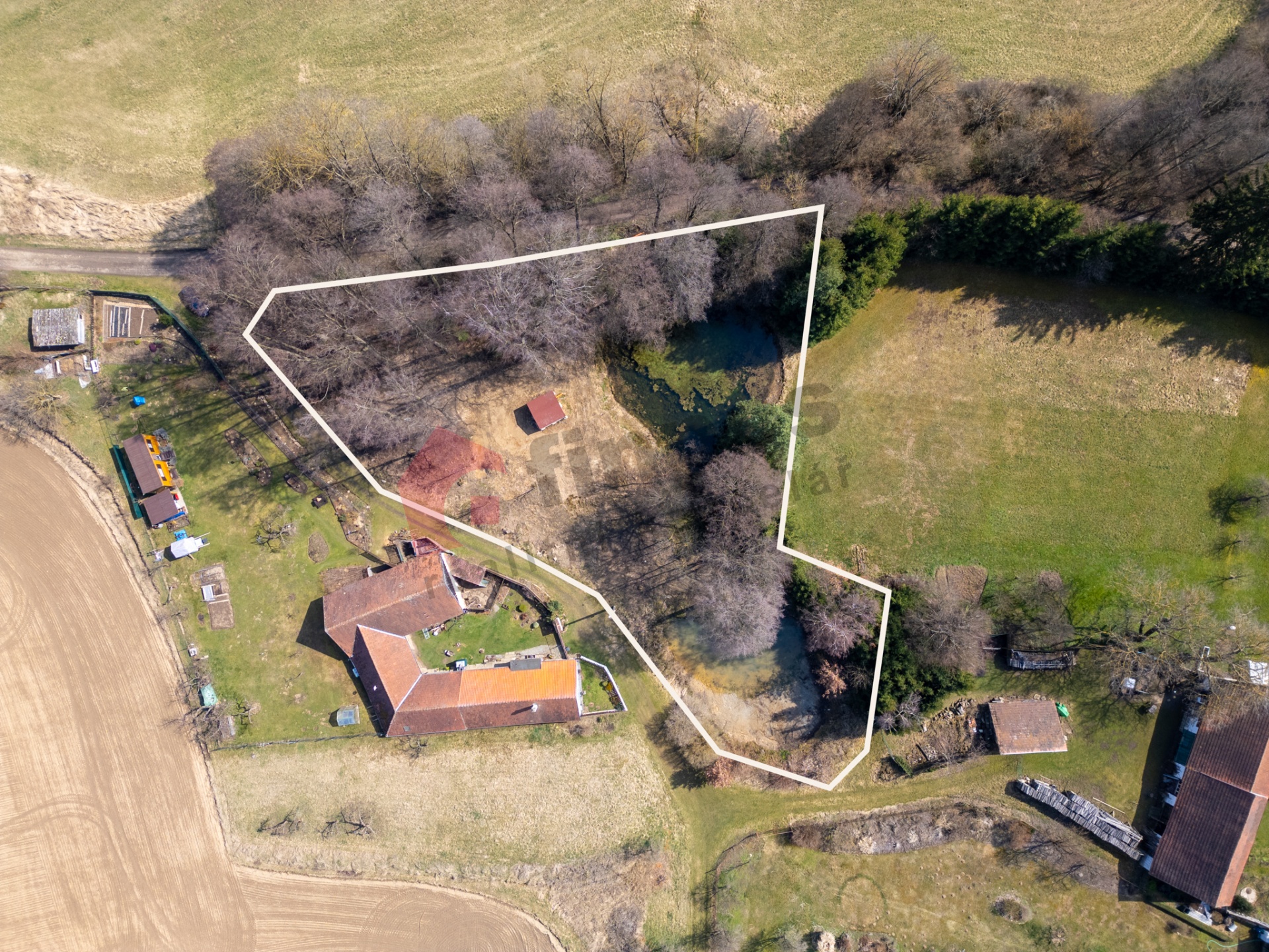 Prodej lesního pozemku s rybníky v Radějově