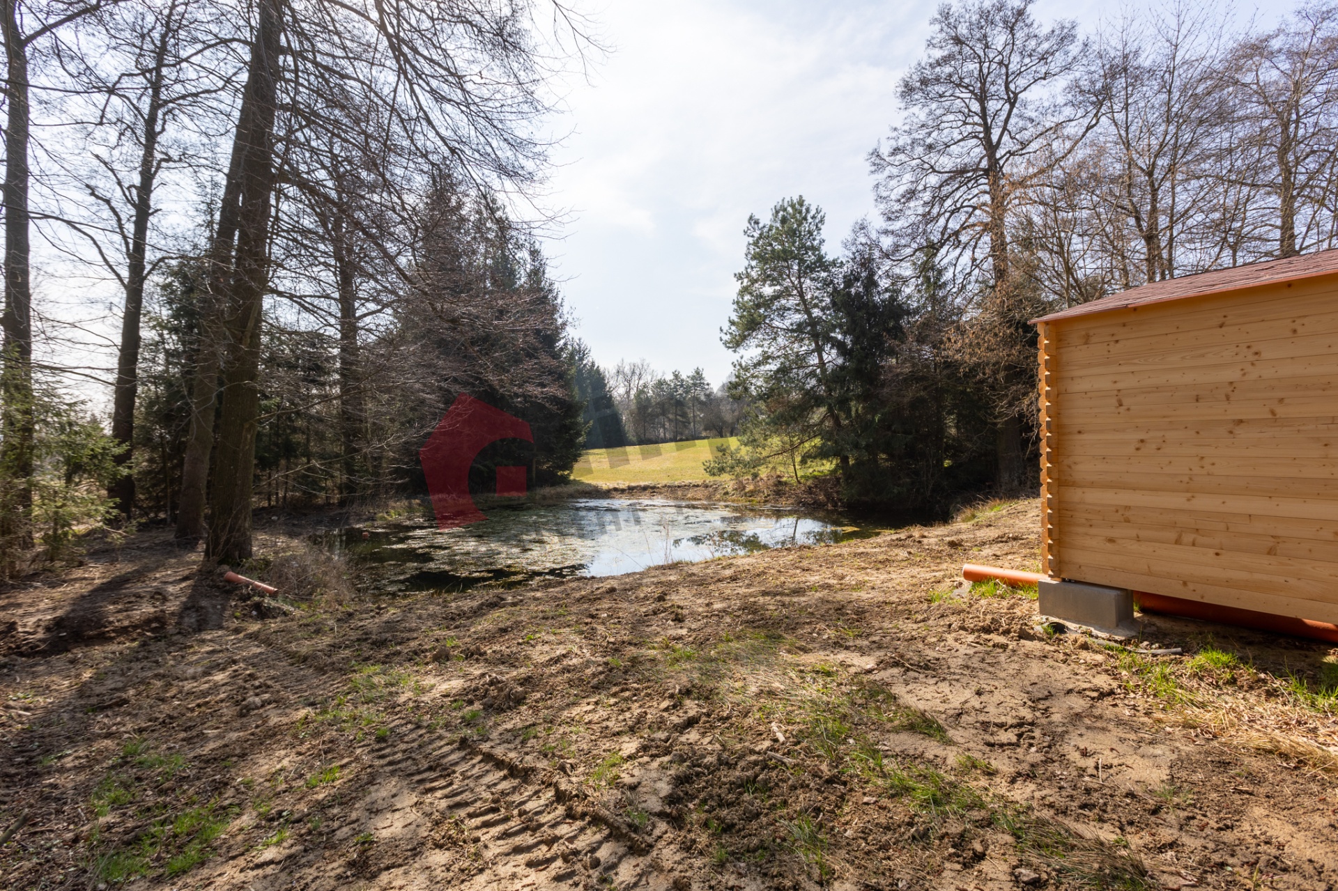 Prodej lesního pozemku s rybníky v Radějově