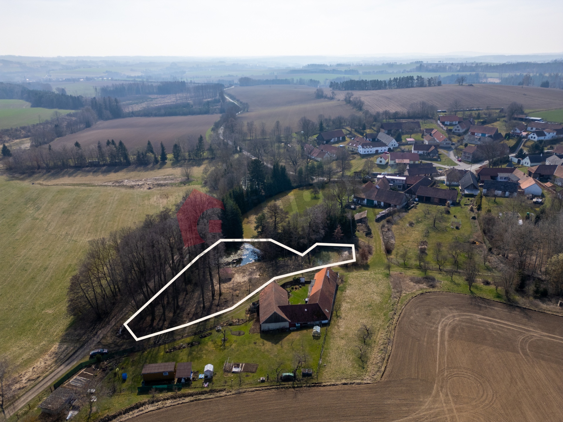 Prodej lesního pozemku s rybníky v Radějově