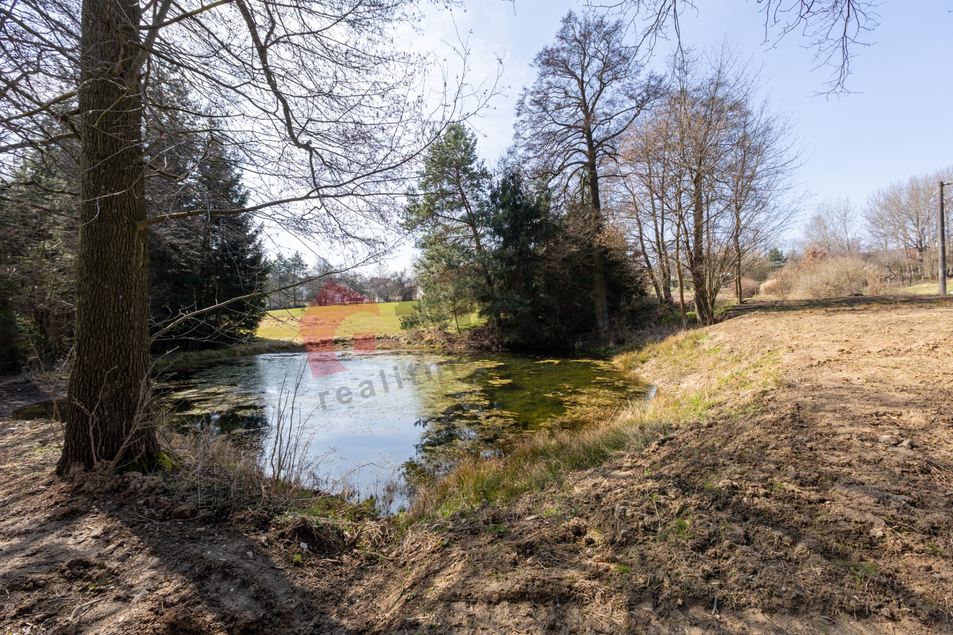 Prodej lesního pozemku s rybníky v Radějově