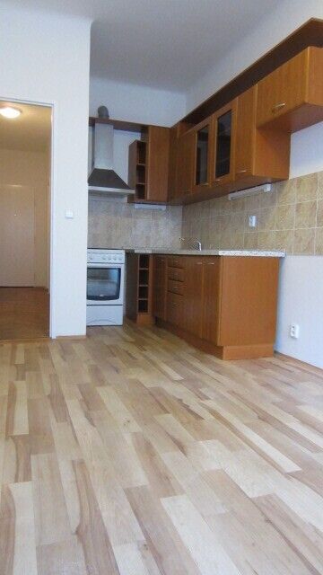 2+1/B Přemyslovská ulice, Praha 3, nájem na půl roku