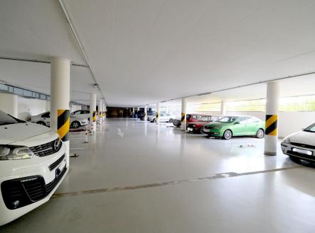 Pronájem , 12 m²