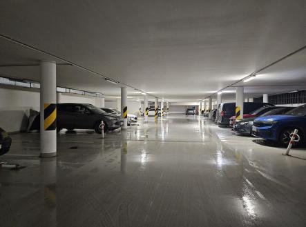 Pronájem , 12 m²