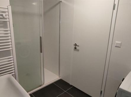 Pronájem bytu, 1+kk, 45 m²