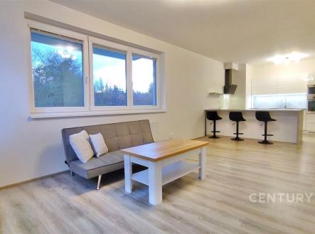 Pronájem bytu, 2+kk, 61 m²