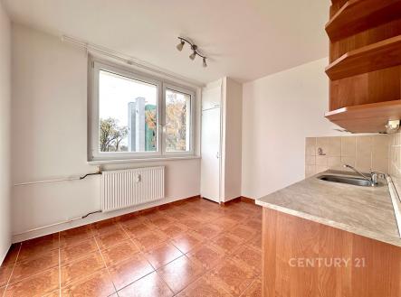 Pronájem bytu, 1+1, 32 m²