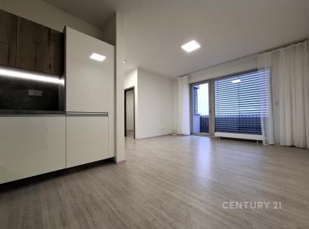 Pronájem bytu, 2+kk, 60 m²