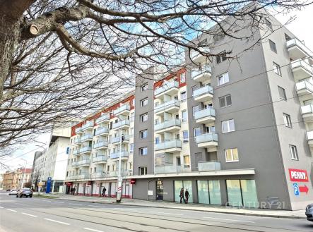 Pronájem bytu, 1+kk, 30 m²