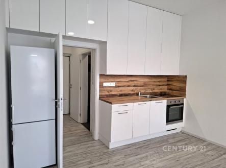 Pronájem bytu, 1+kk, 30 m²
